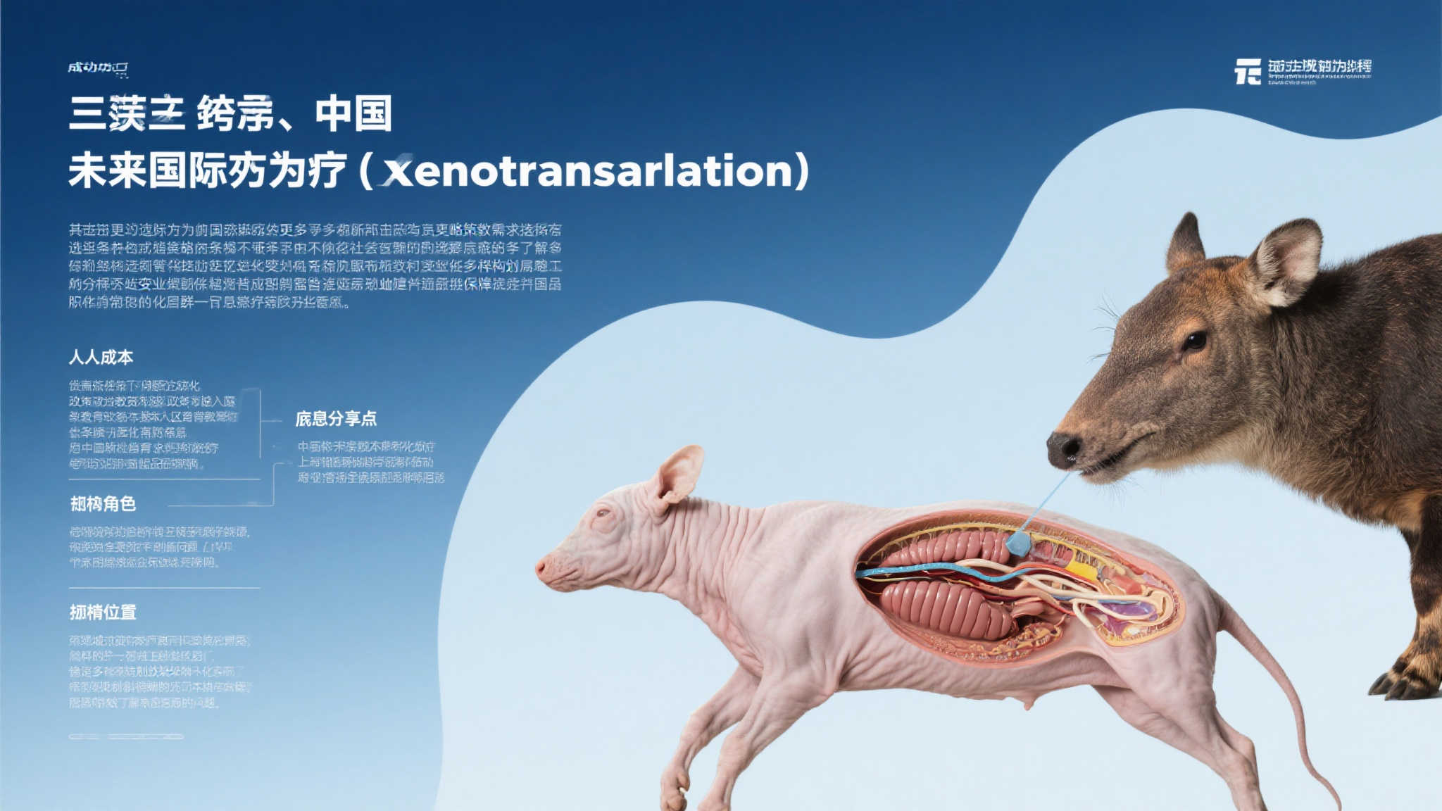 问鼎娱乐官网-客户满意